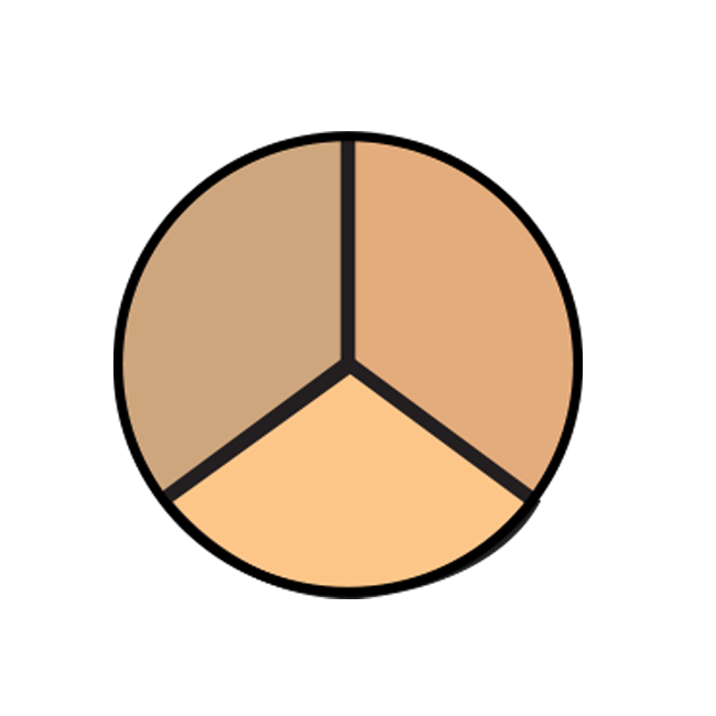 COLORBLEND TRIO CONCEALER