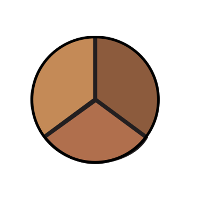 COLORBLEND TRIO CONCEALER