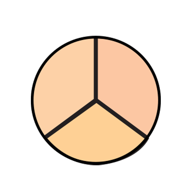 COLORBLEND TRIO CONCEALER