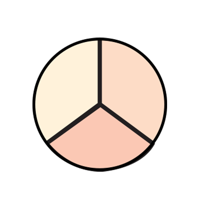 COLORBLEND TRIO CONCEALER