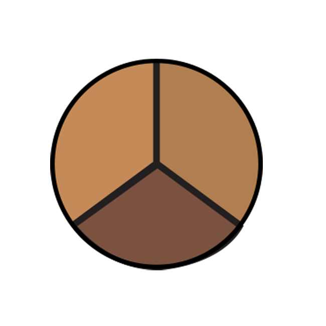 COLORBLEND TRIO CONCEALER